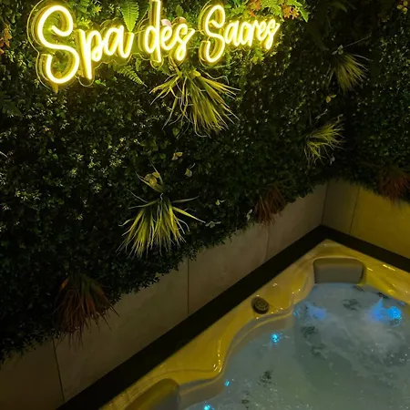 Apartment Des Sacres - Avec Jacuzzi Privatif